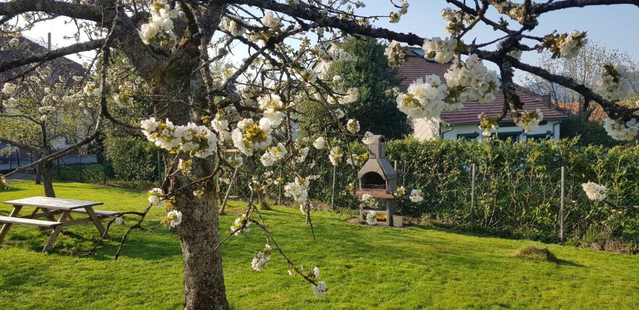 Maison De Vacances Freconrupt La Broque Exteriör bild